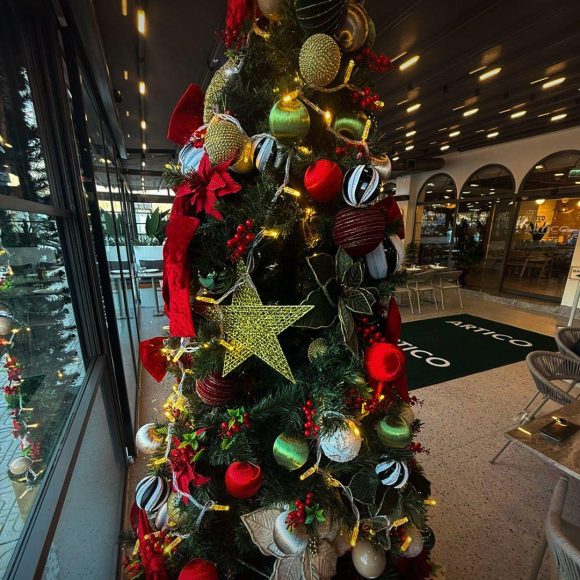 WhatsApp Image 2025-11-29 at 15.04.59